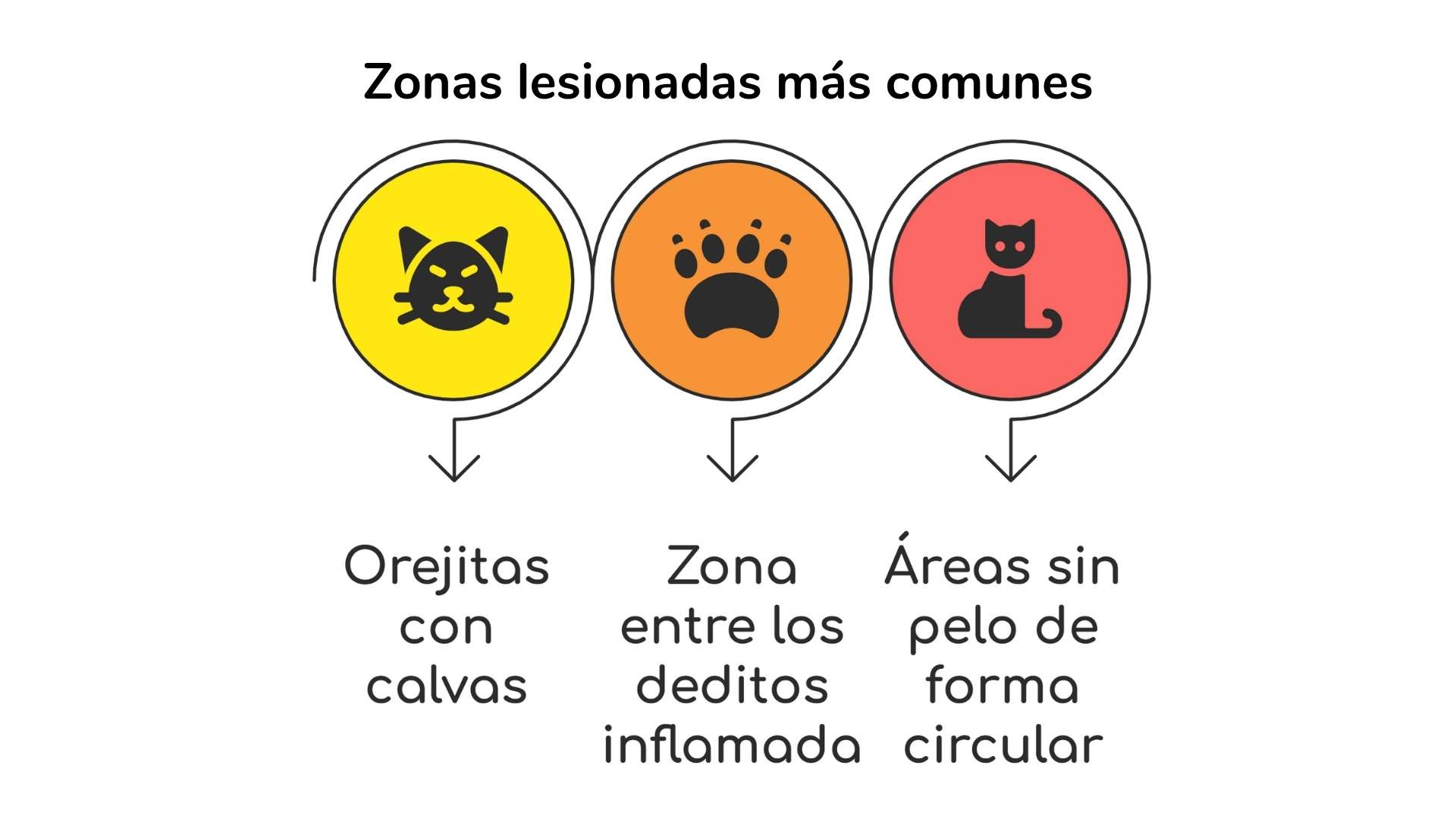 lesiones esquema